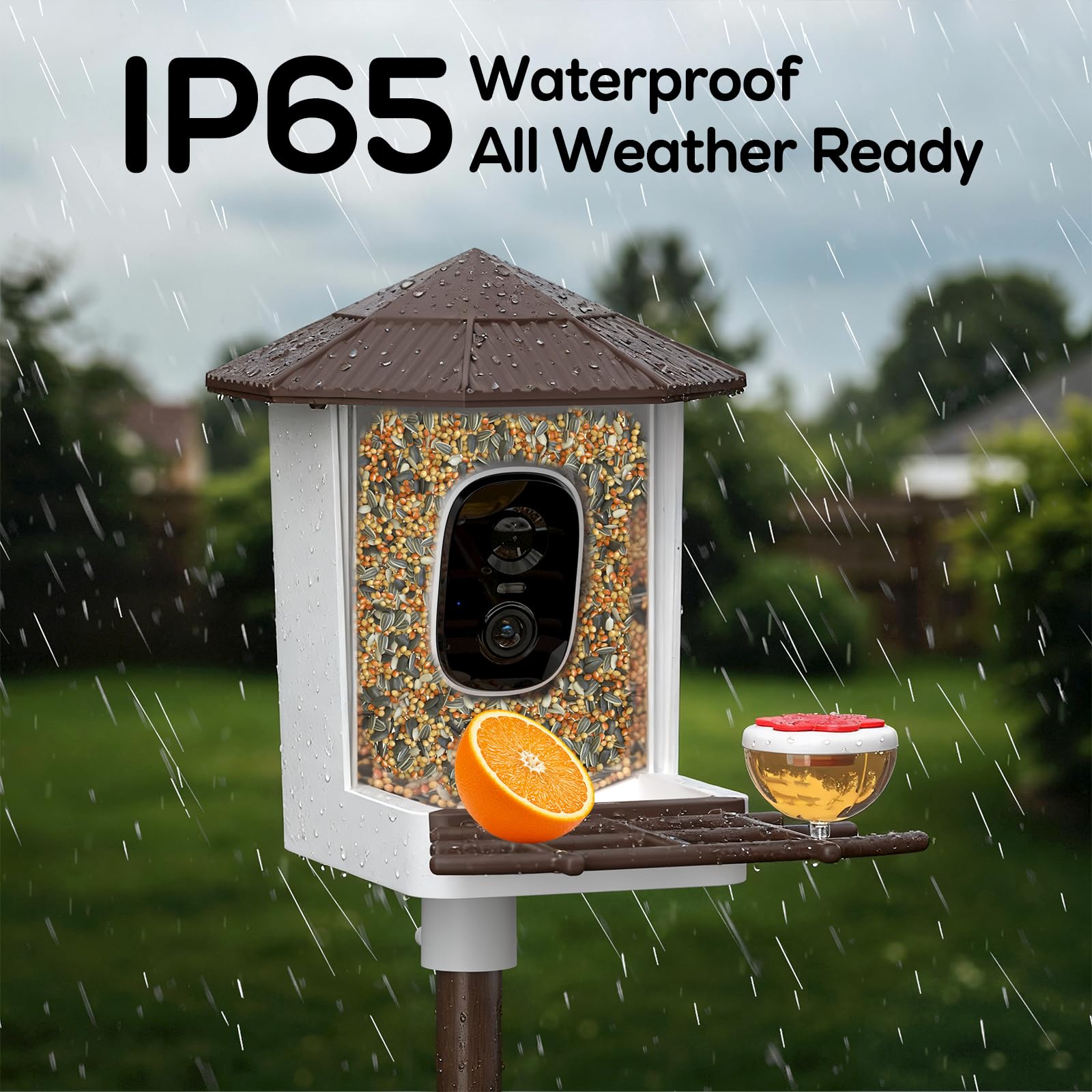 Wansview Real-time alerts notify you when new birds arrive.