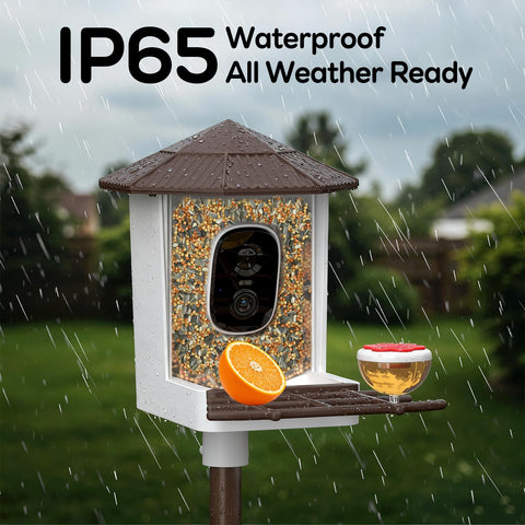 Wansview Real-time alerts notify you when new birds arrive.