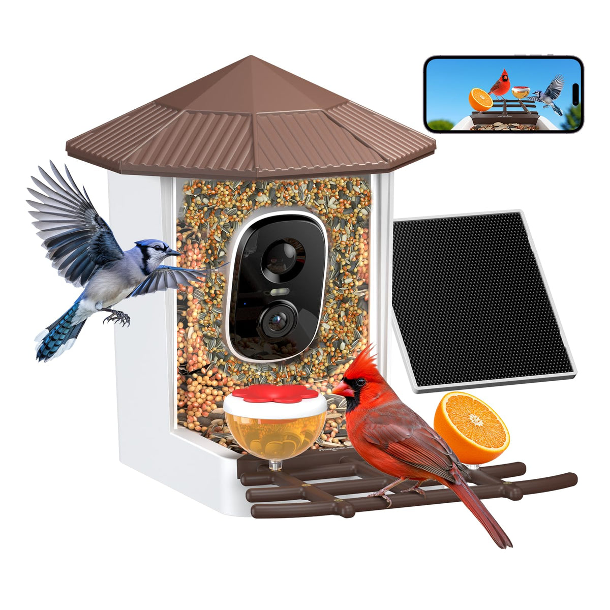 Wansview Bird Feeder camera front view for outdoor observation.