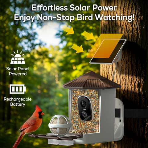 Wansview IP65 weatherproof rating protects against rain and snow.