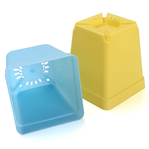 WARMBUY yellow pots with saucers for sunny windowsills.