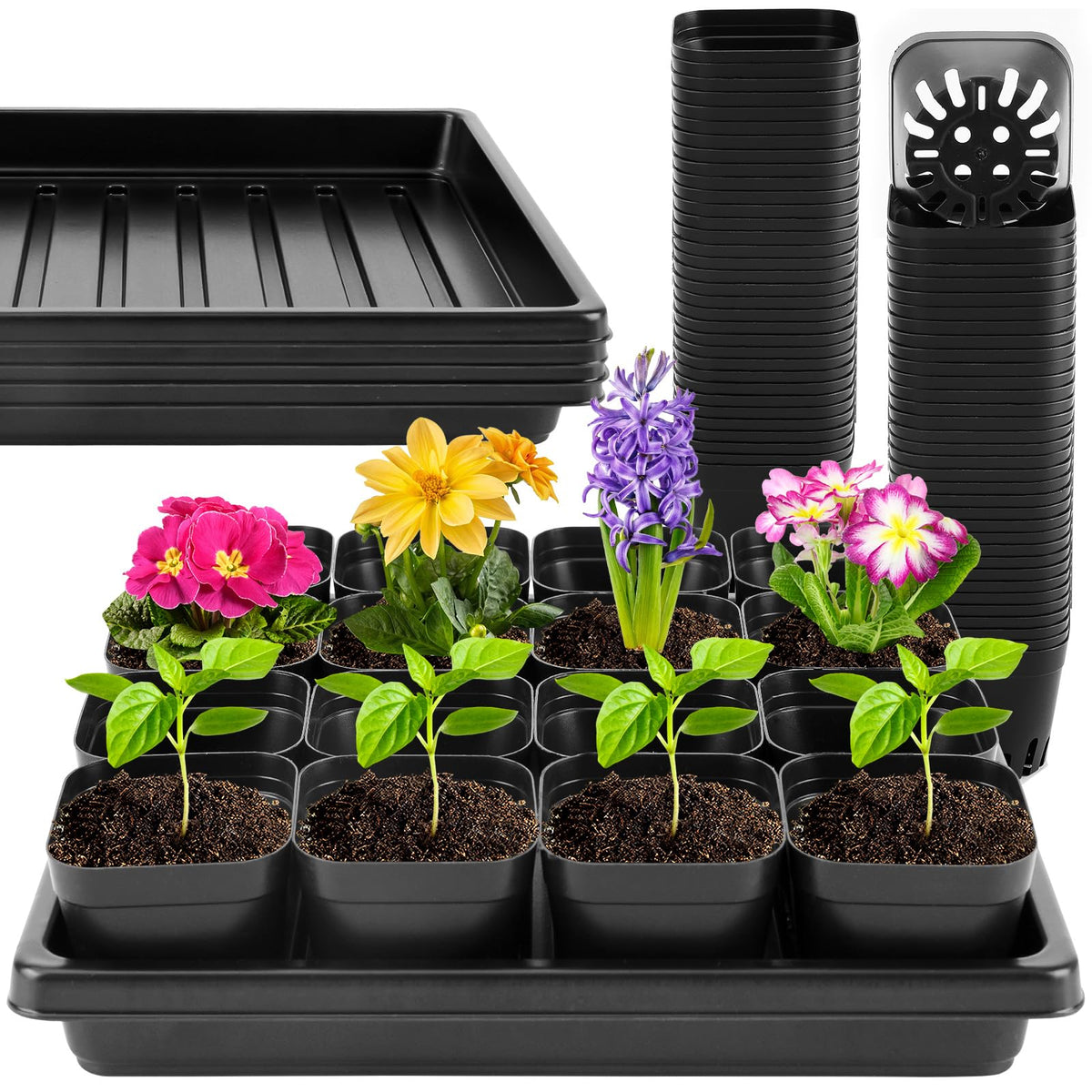 Warmfarm kit with 5 trays and 100 nursery pots arranged for compact seed starting.