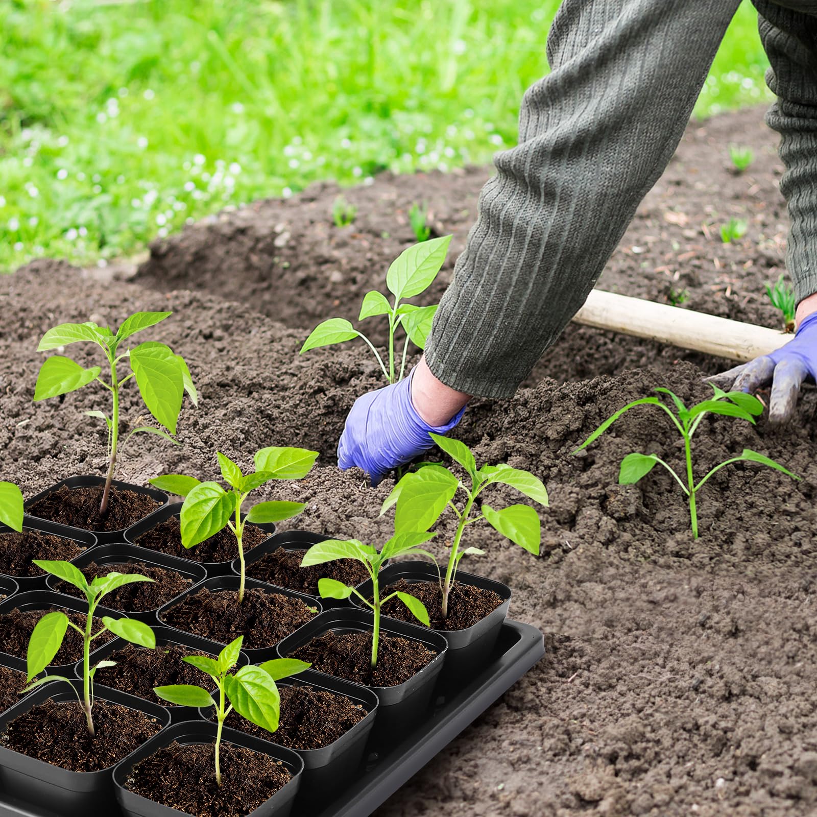 Warmfarm BPA-free durable plastic trays support long-lasting, eco-conscious growing