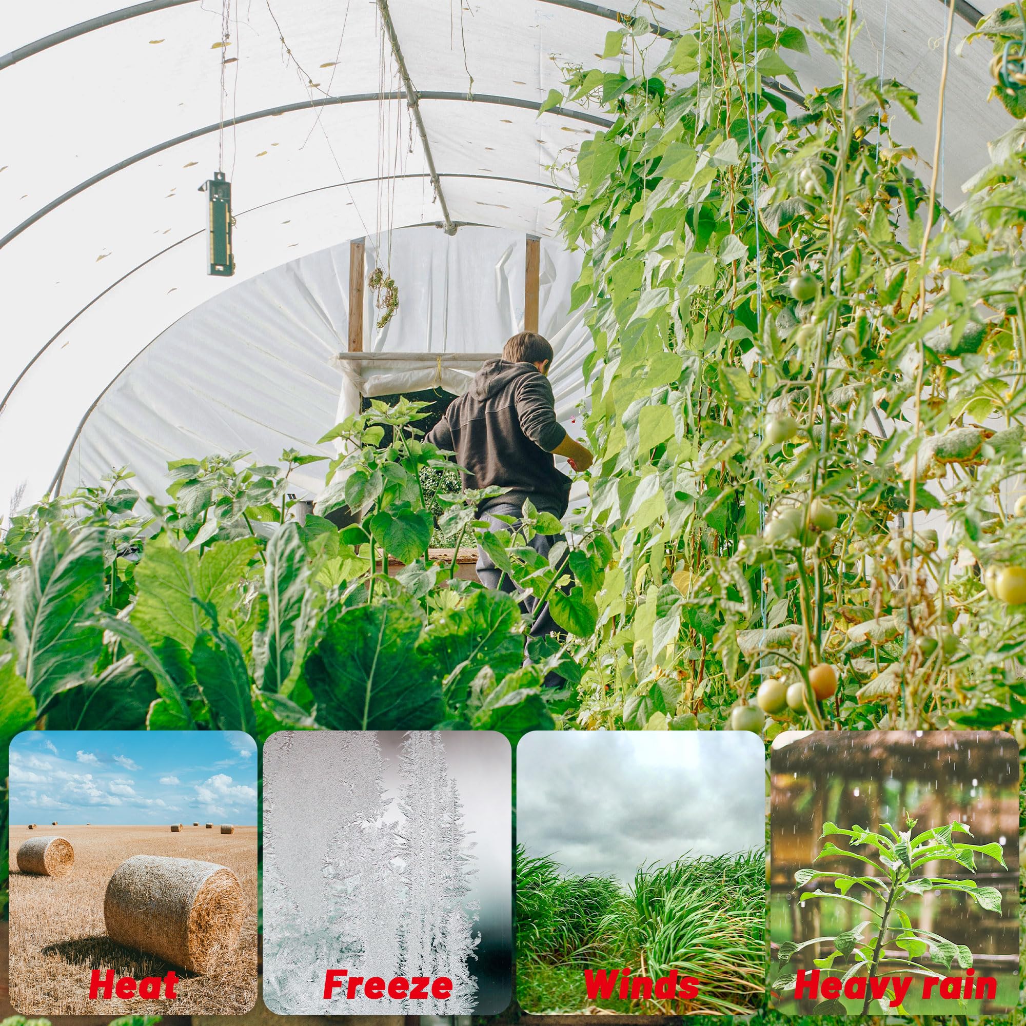 Warmfarm high-quality film with tear resistance for long-lasting use.