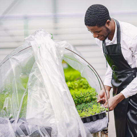 Warmfarm greenhouse film being unrolled for easy installation.