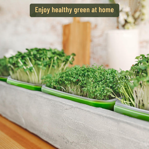 Warmfarm BPA-free materials ensure safe, durable seed sprouting