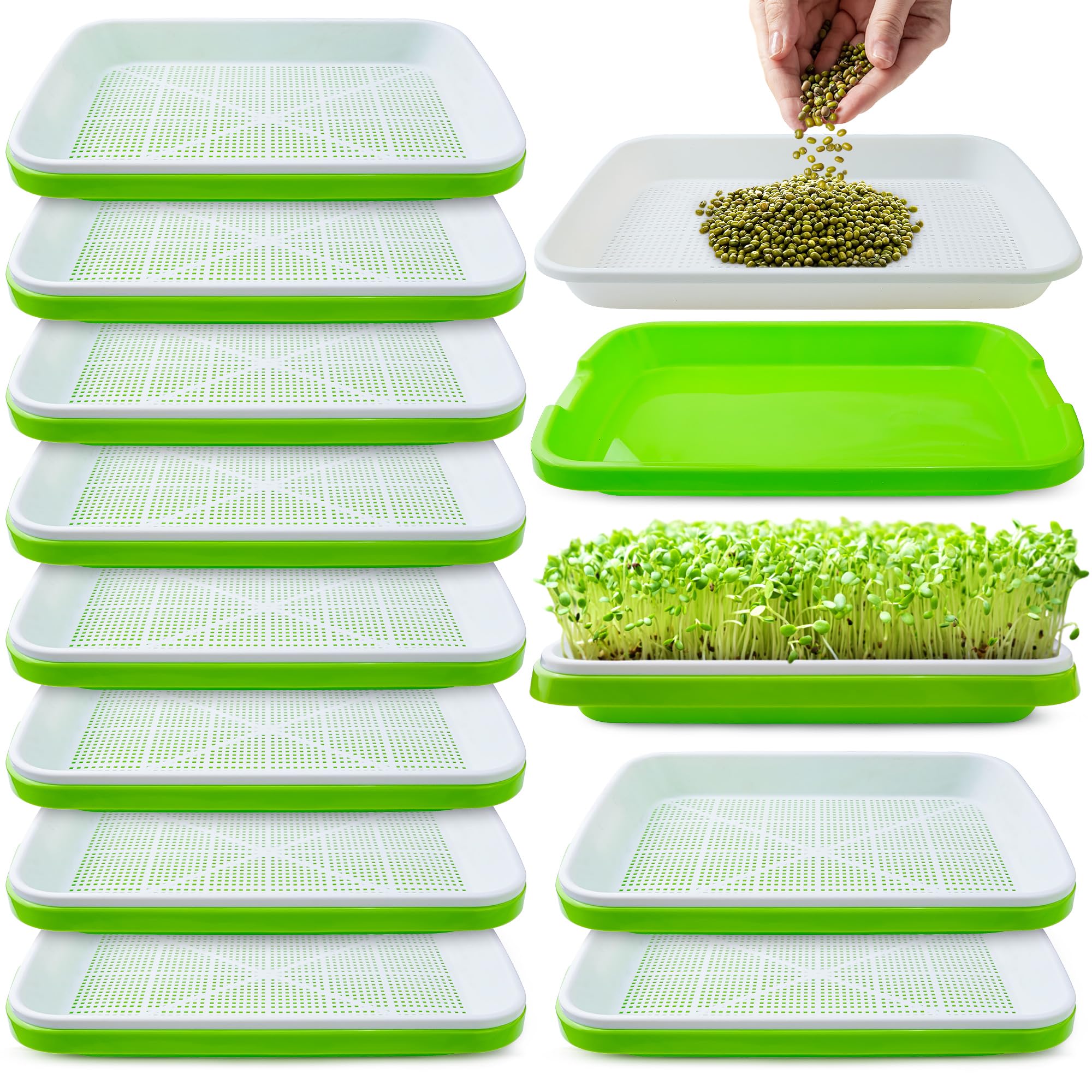 Warmfarm seed sprouter tray with drain holes enabling quick germination and water control