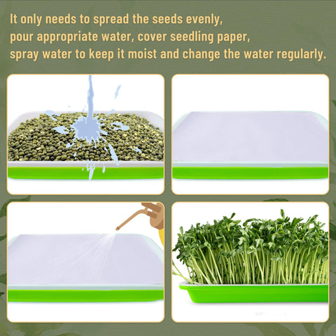 Warmfarm family education tray supports parent-child plant growing activities at home