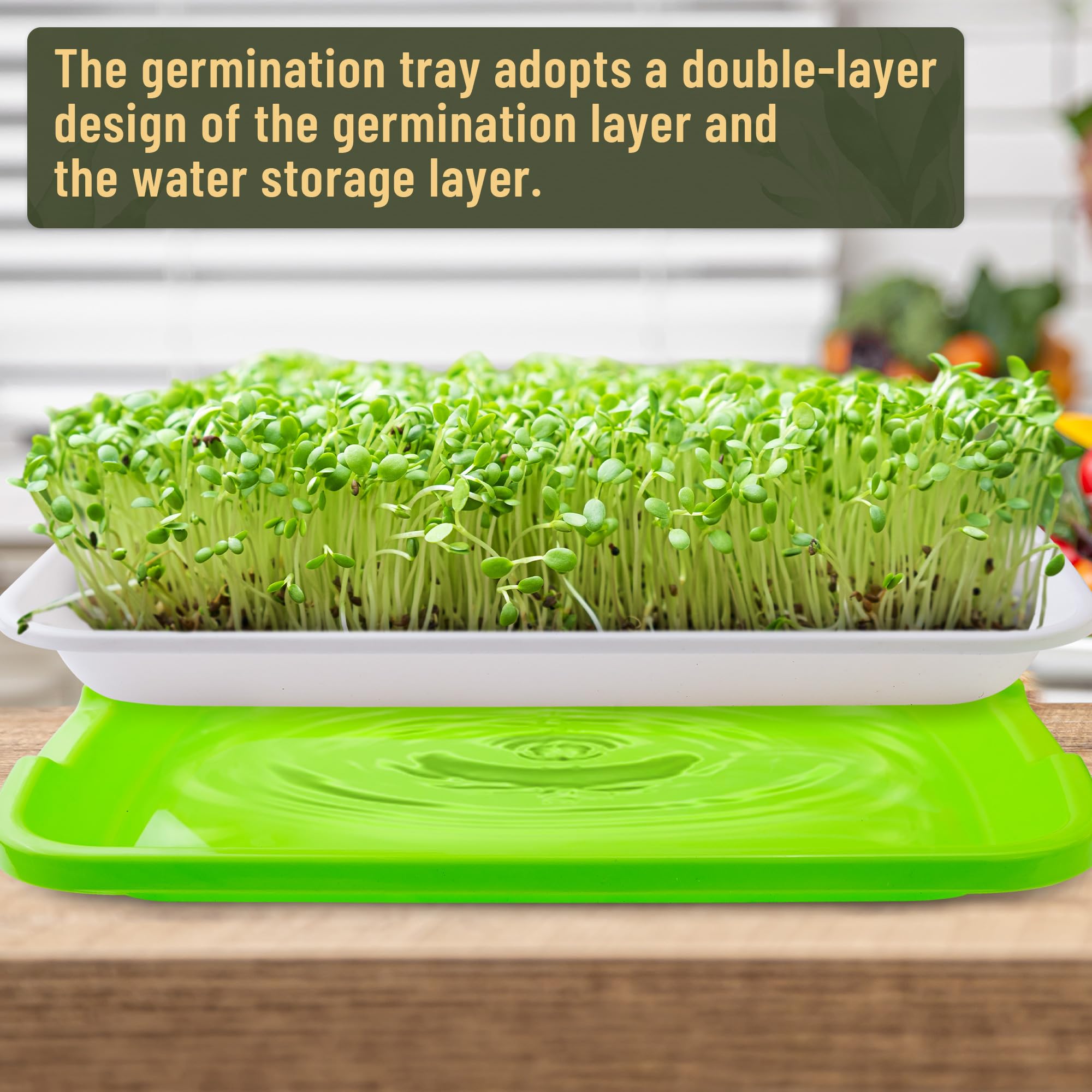 Warmfarm soil-free germination tray for clean seed starting in homes