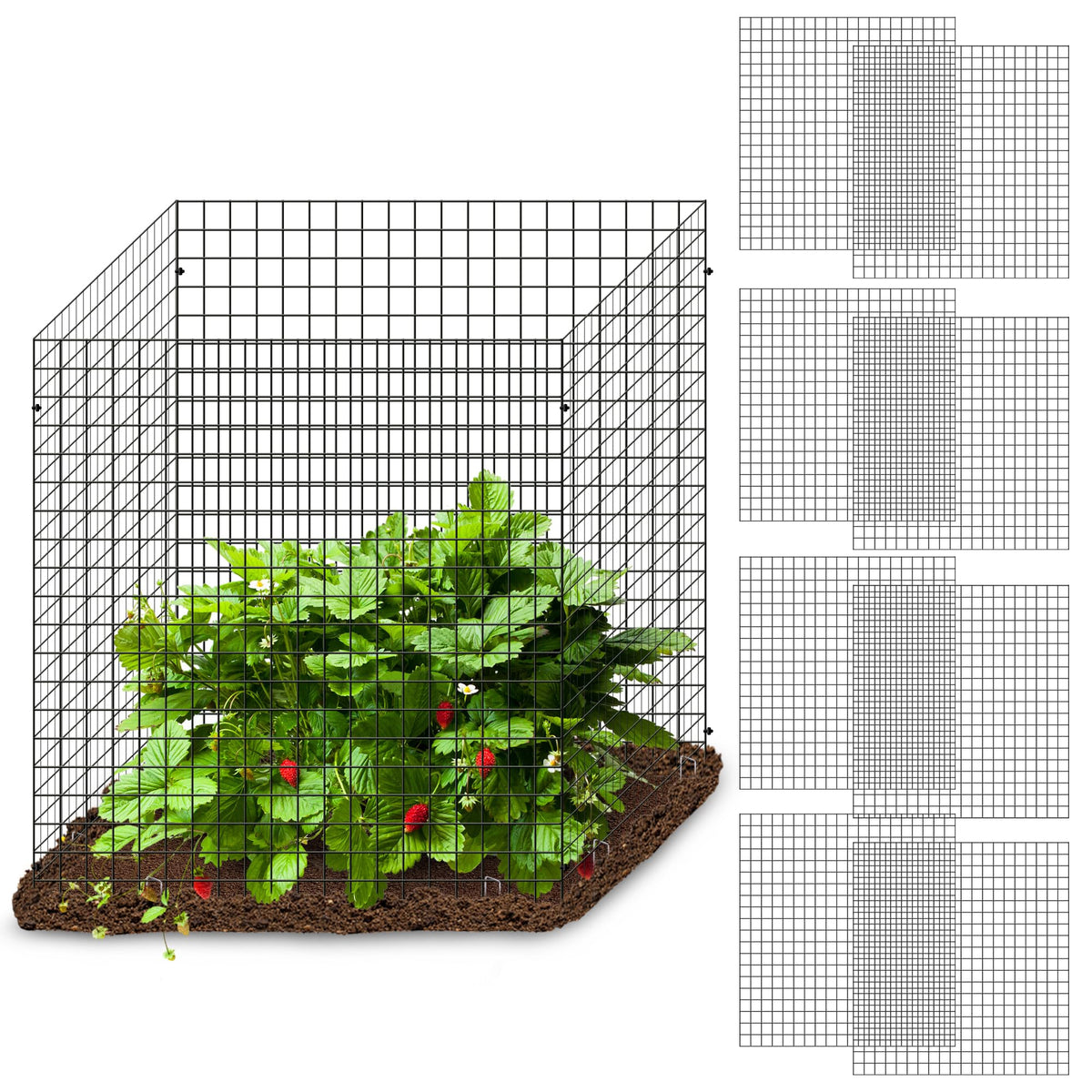 Warmfarm square plant cage assembled protects seedlings while staying low-profile.