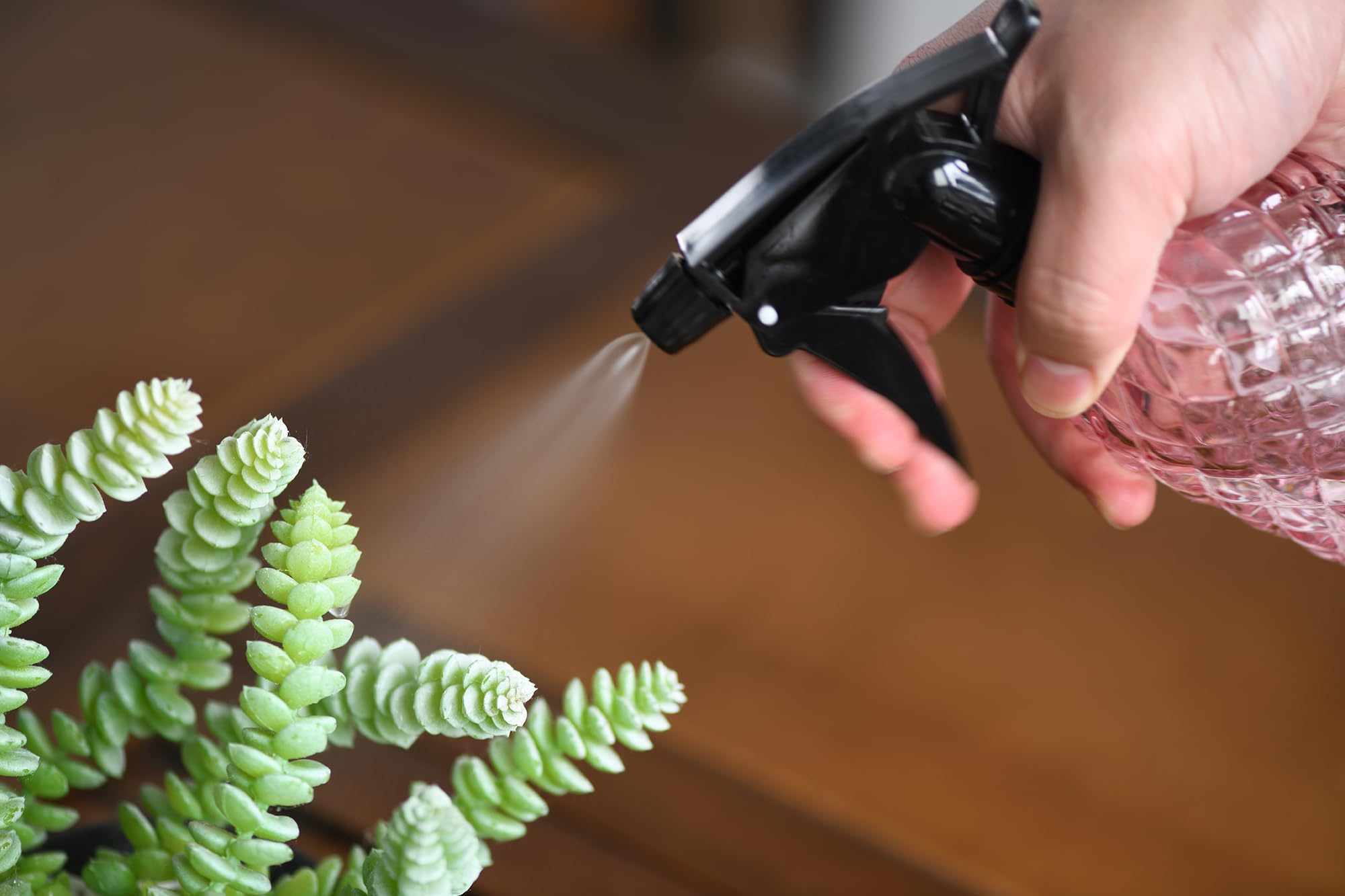 Wartter ideal for kitchen cleaning and pet spray duties.