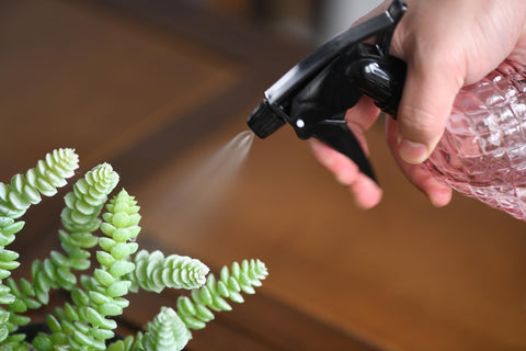 Wartter ideal for kitchen cleaning and pet spray duties.