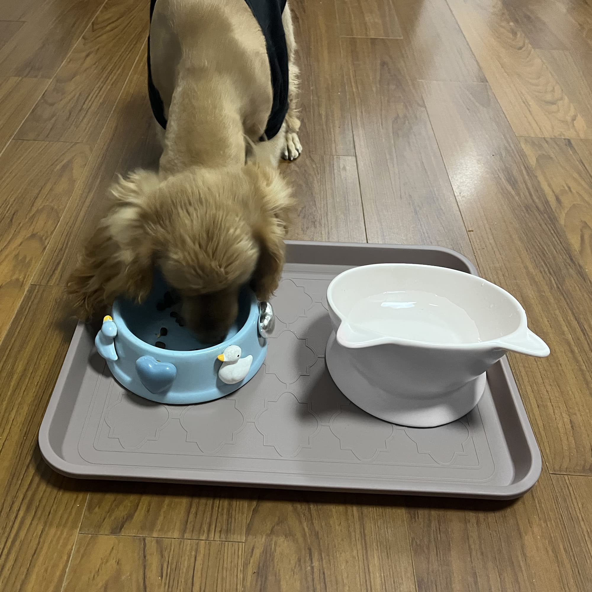 Wataniya Pet boot tray easy to clean with rinse and dry