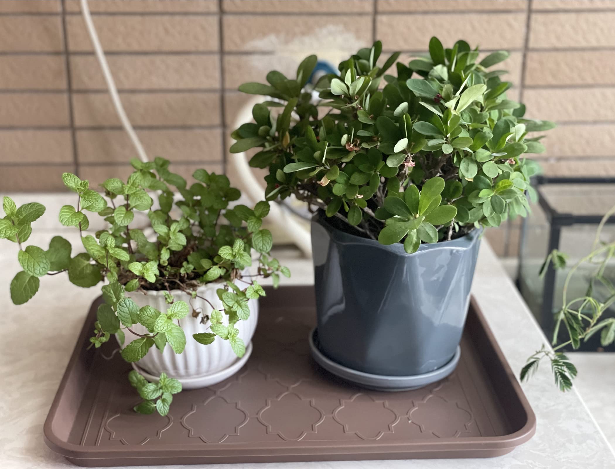WATANIYA PET boot tray outdoor use suitable for garden and car boots.