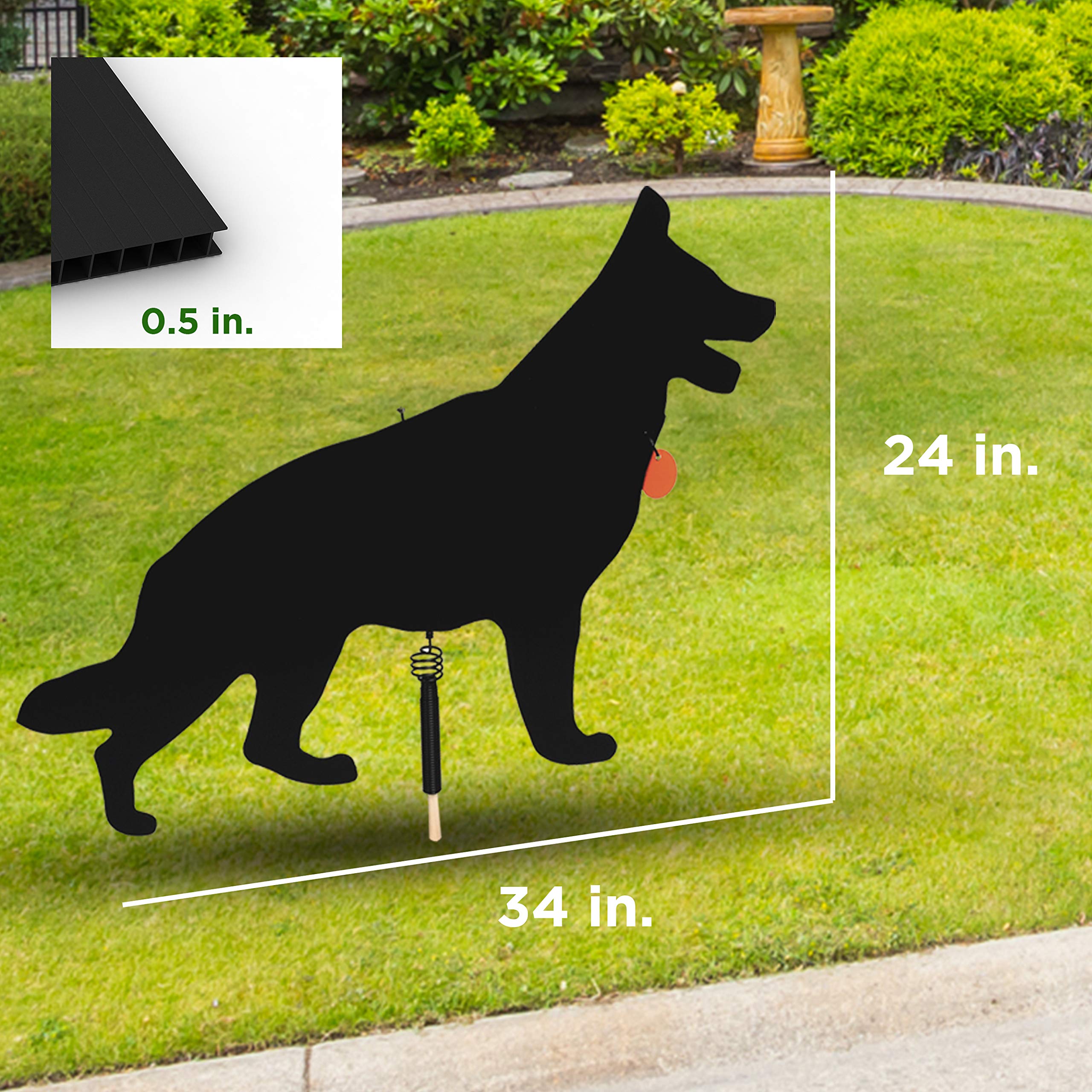 Watch Dog Goose Patrol Daily Placement changes maximize early effectiveness.