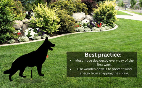 Watch Dog Goose Patrol Multi-Decoy Coverage suits larger properties.
