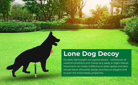 Watch Dog Goose Patrol Outdoor Pest Deterrent offers humane wildlife management.