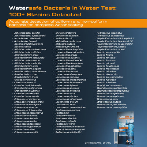 Watersafe Bacteria Test Kit results readout with clear results.