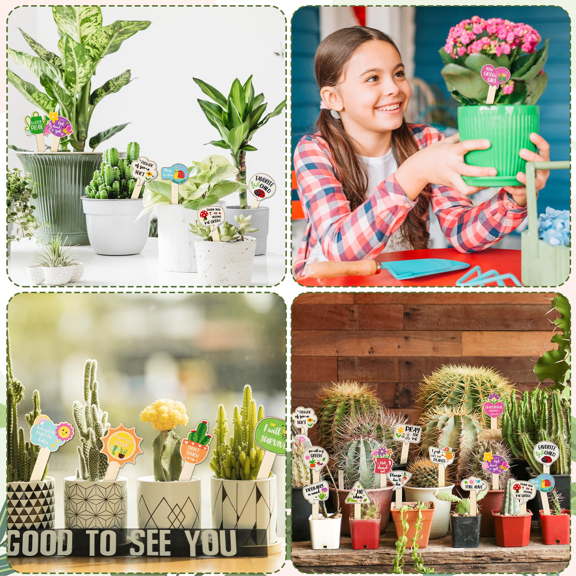 WATINC indoor-outdoor garden signs brighten pots and beds.