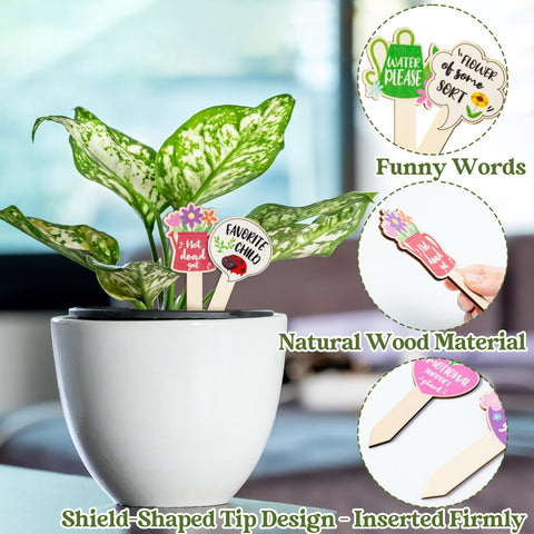 WATINC natural wood material offers durable, reusable tags for daily gardening.