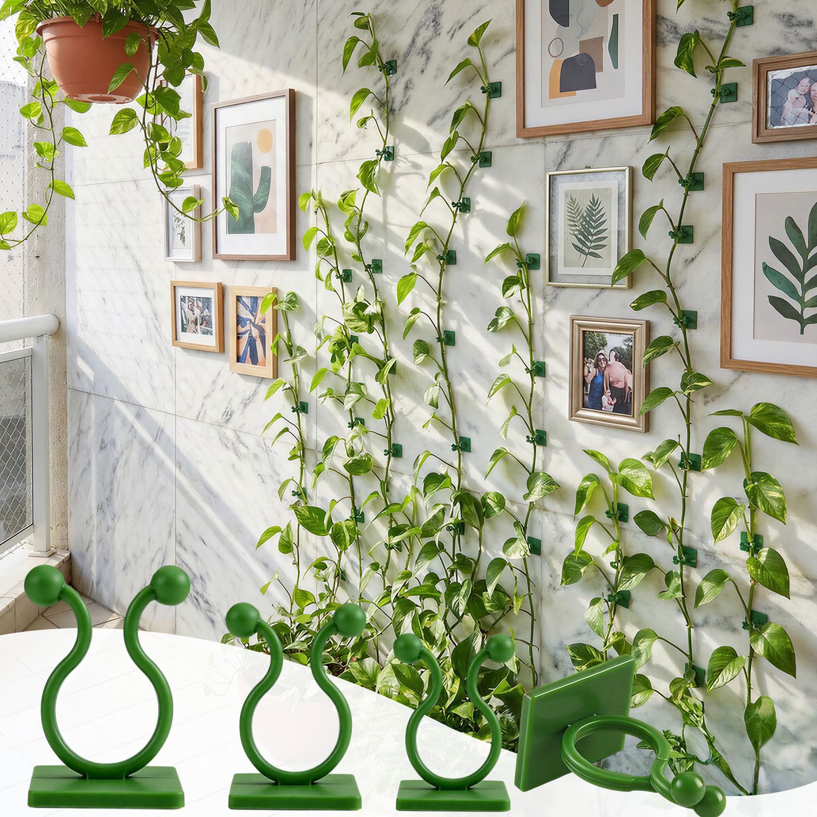 WATMTIN medium wall clip in action supporting mid-sized vines.
