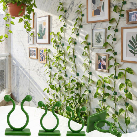 WATMTIN medium wall clip in action supporting mid-sized vines.