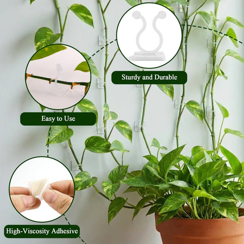 Watmtin easy-install clip helps guide plant growth quickly.