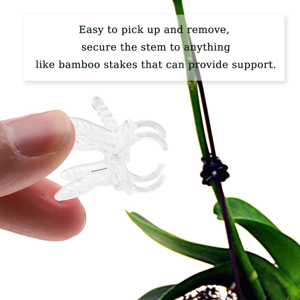 Watris Veiyi plant-stem-clip provides gentle support for vines.