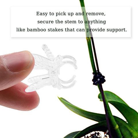 Watris Veiyi plant-stem-clip provides gentle support for vines.