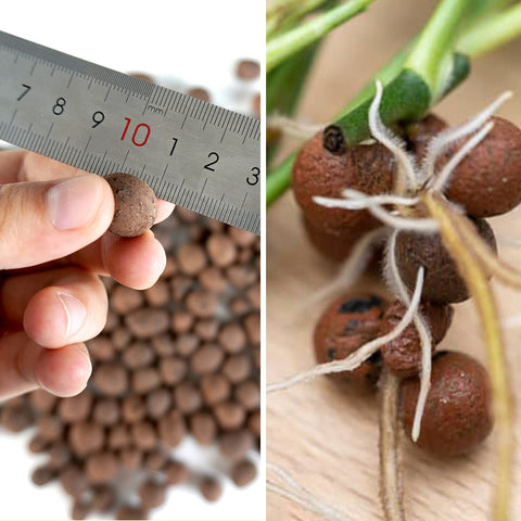 WAURHER Leca pebbles closeup 7-15mm for root zone aeration