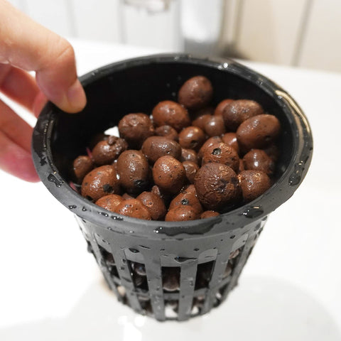 WAURHER Leca pebbles in hydroponic setup enhancing moisture balance