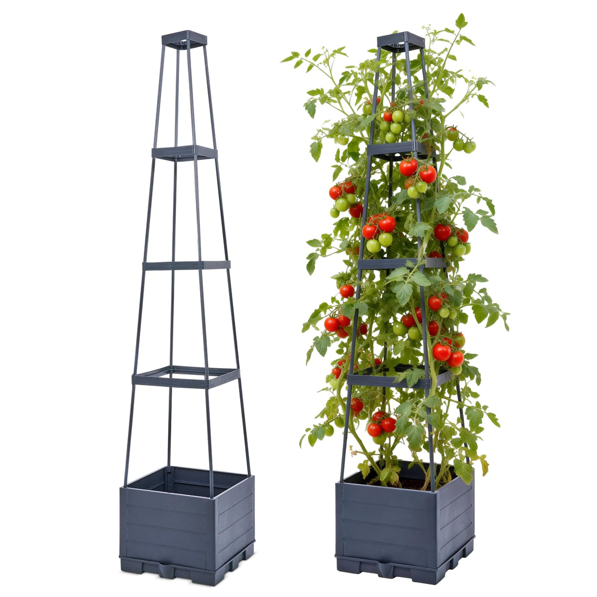 Waylinho tomato planter with trellis 56-inch assembly for vertical gardening and space-saving growth.