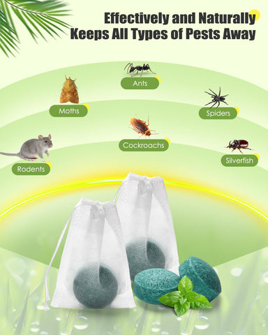 WAYSLA use in kitchen corner and storage areas for pest deterrence.