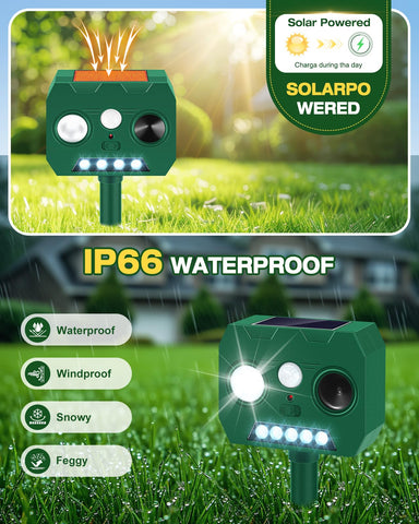 WAYSLA Motion sensor activation demonstrates automatic deterrence without constant monitoring
