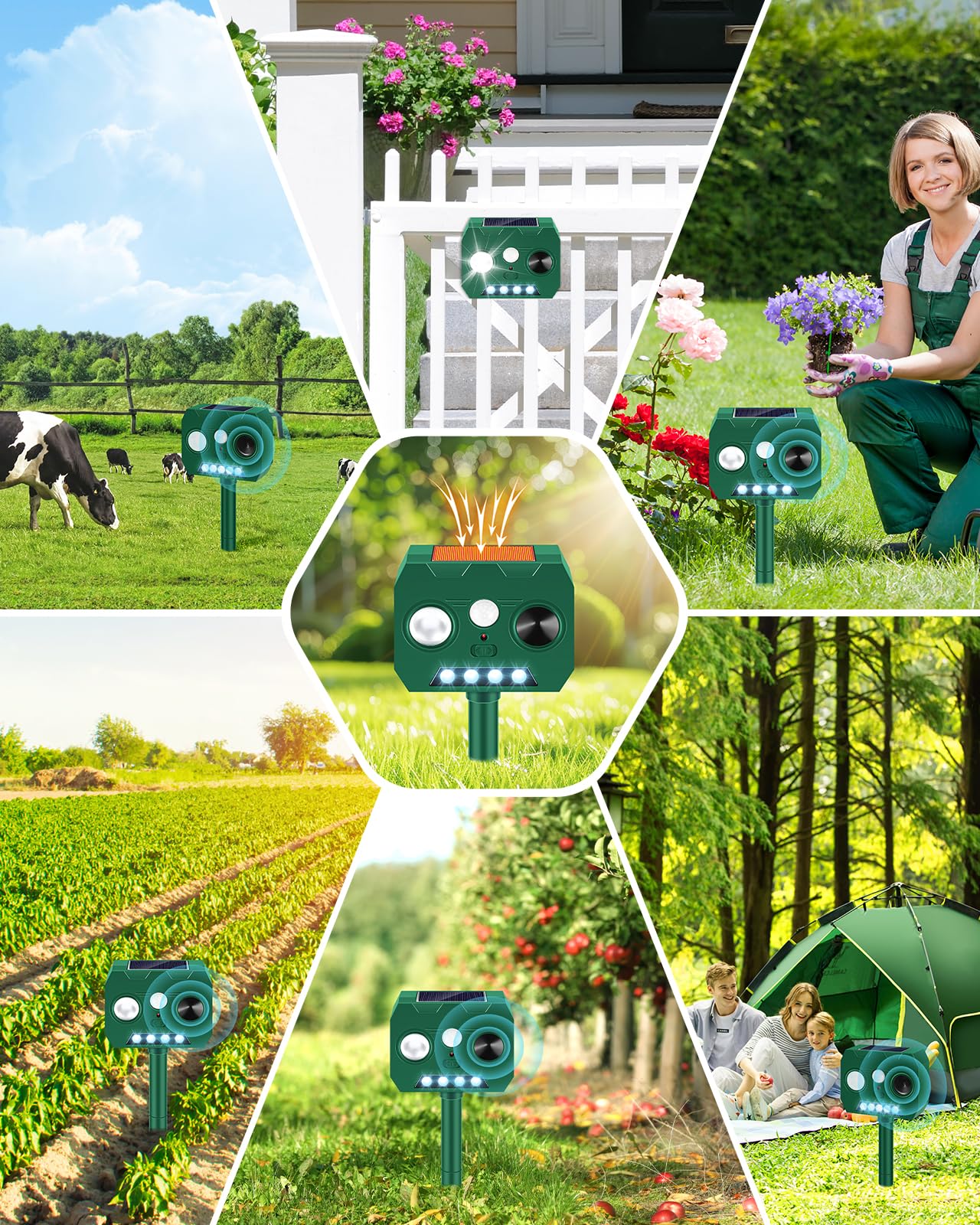 WAYSLA Two-pack option emphasizes convenient multi-area protection for larger properties