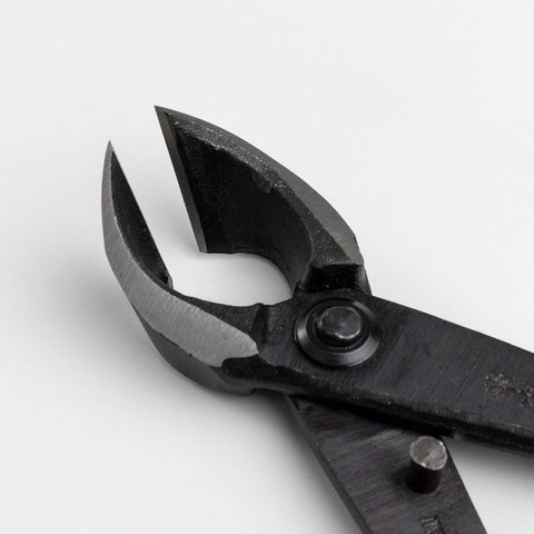Wazakura black coated bonsai tool combines durability with a sleek look.