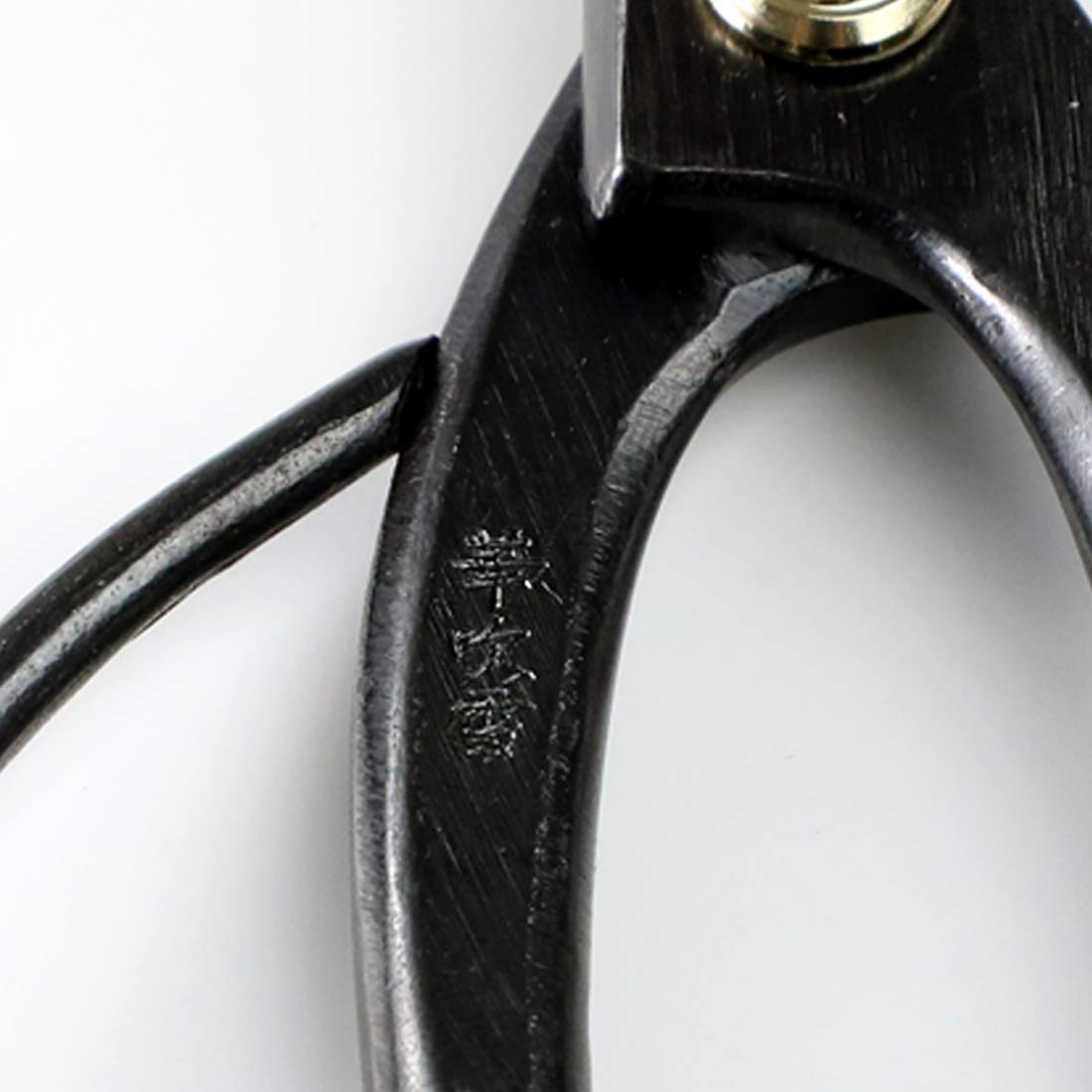Wazakura Hanafubuki bonsai scissors precision cut on fine stems for neat results.