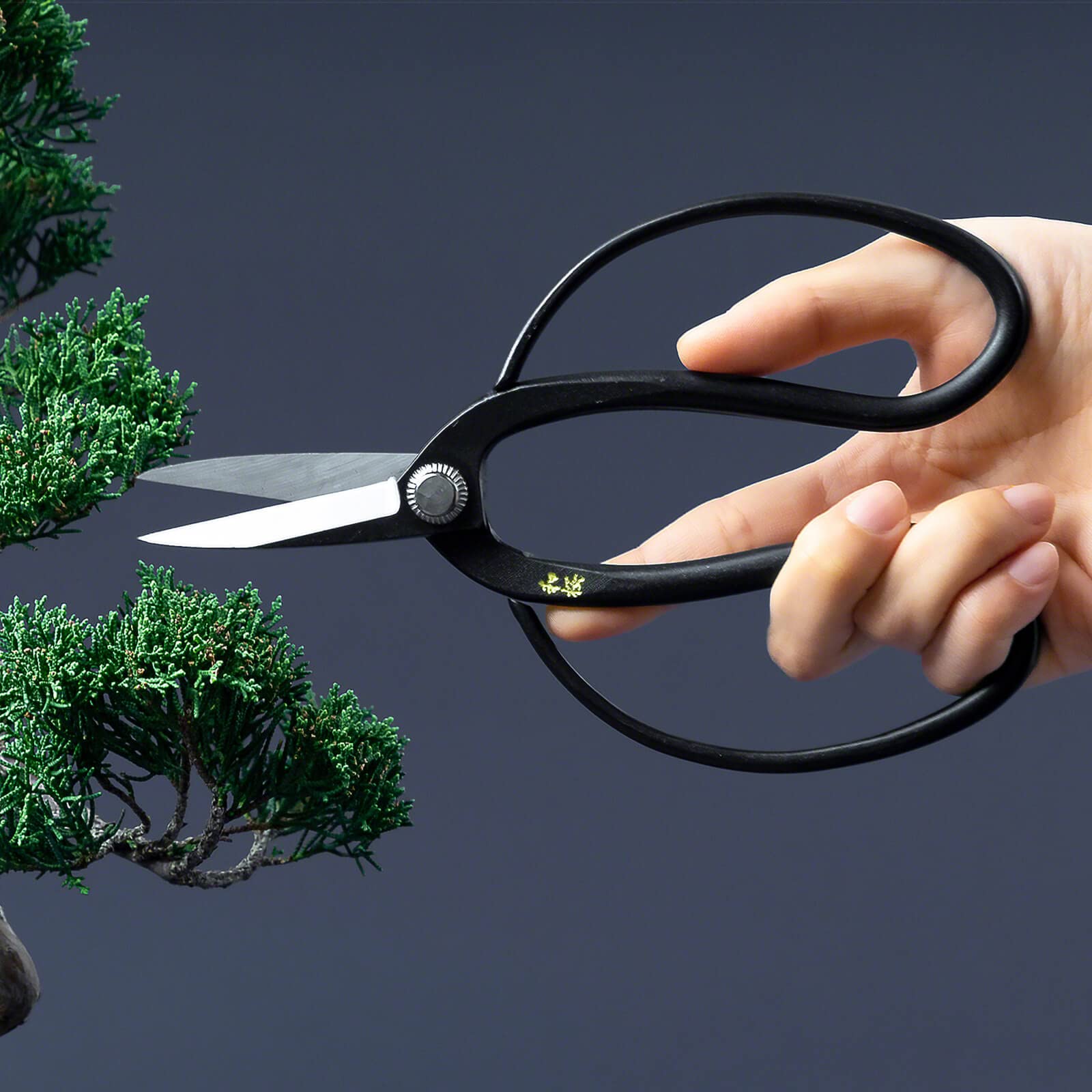 Wazakura Yasugi bonsai scissors cutting action shows clean, precise cuts
