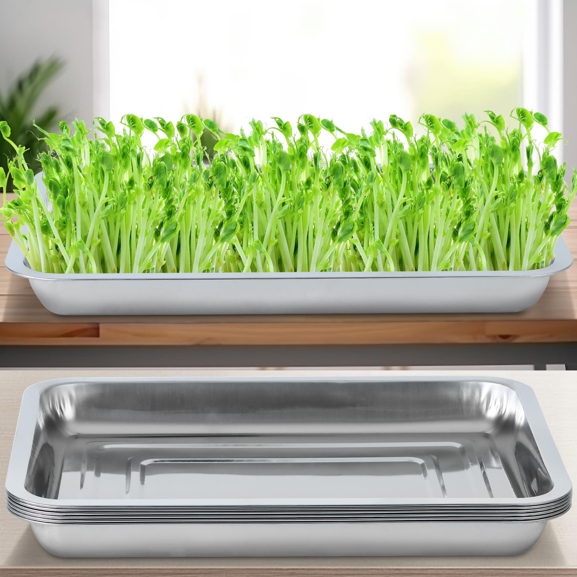 WBCBEC indoor gardening tray with sturdy edge for stable seedlings and washing.