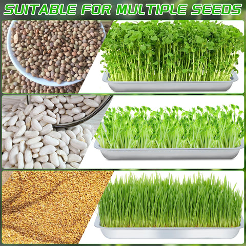 WBCBEC microgreens garden tray supports healthy growth and easy post-harvest cleaning.