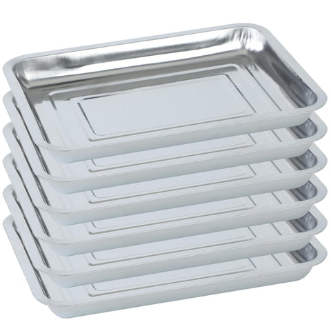 WBCBEC stainless steel seed tray 6pc set for neat indoor germination and easy cleaning.