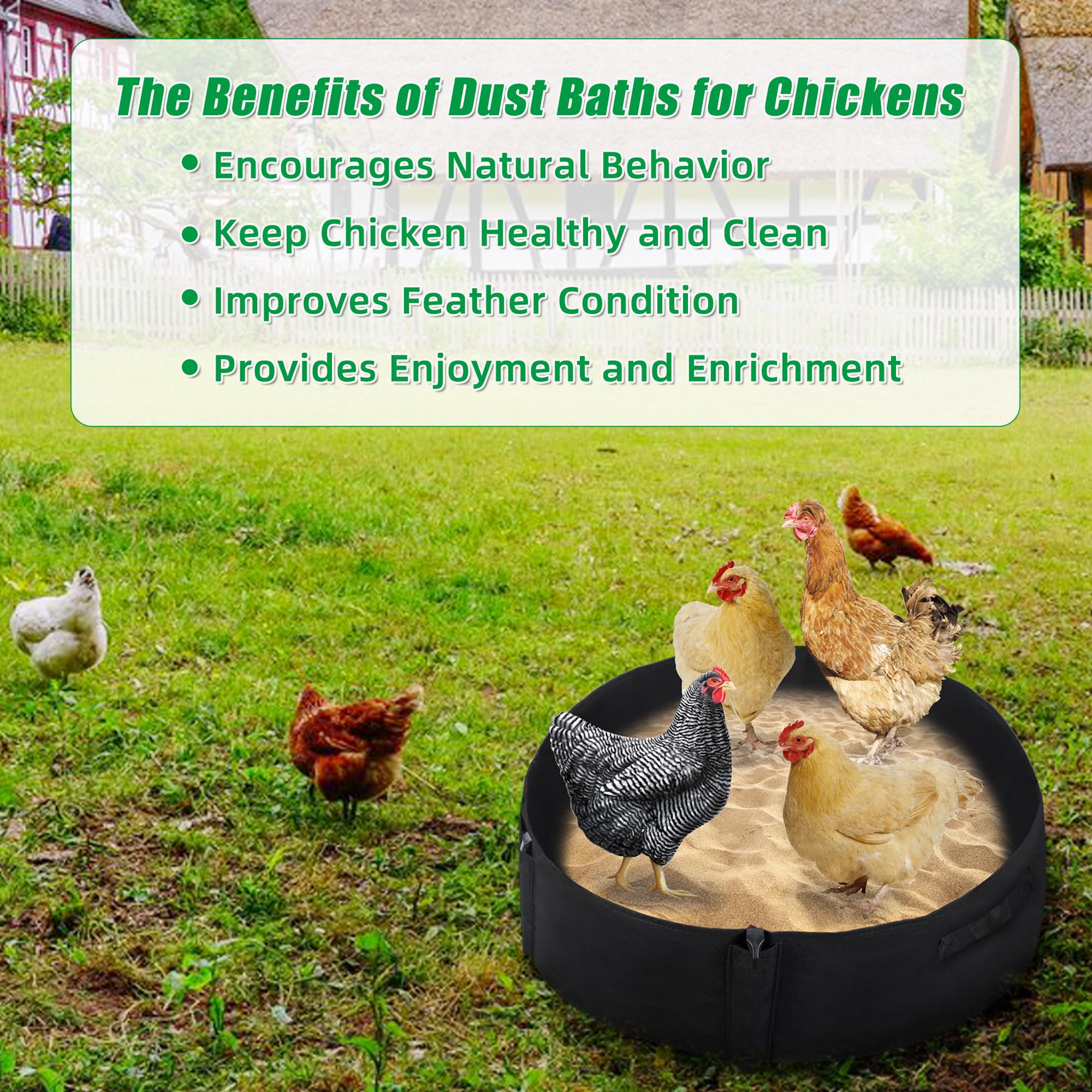 WBCBEC chicken coop accessory enhances flock care and garden use