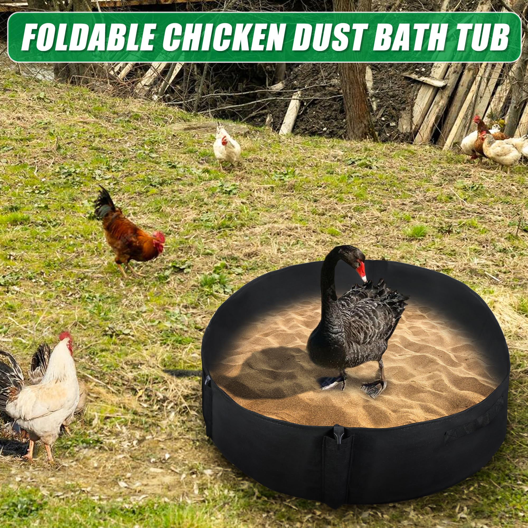 WBCBEC dust bath tub in use with chickens for healthier plumage