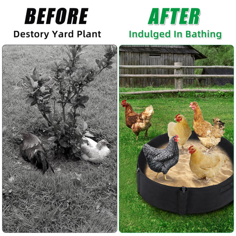 WBCBEC foldable dust bath design facilitates quick setup and easy relocation