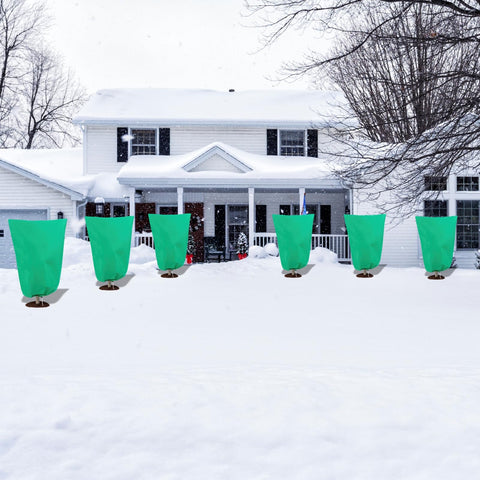 WDBG plant cover protecting garden plants across winter, spring, and summer use