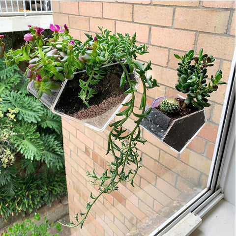 wdcfxy clear diamond window planter ideal for kitchen herbs and easy access