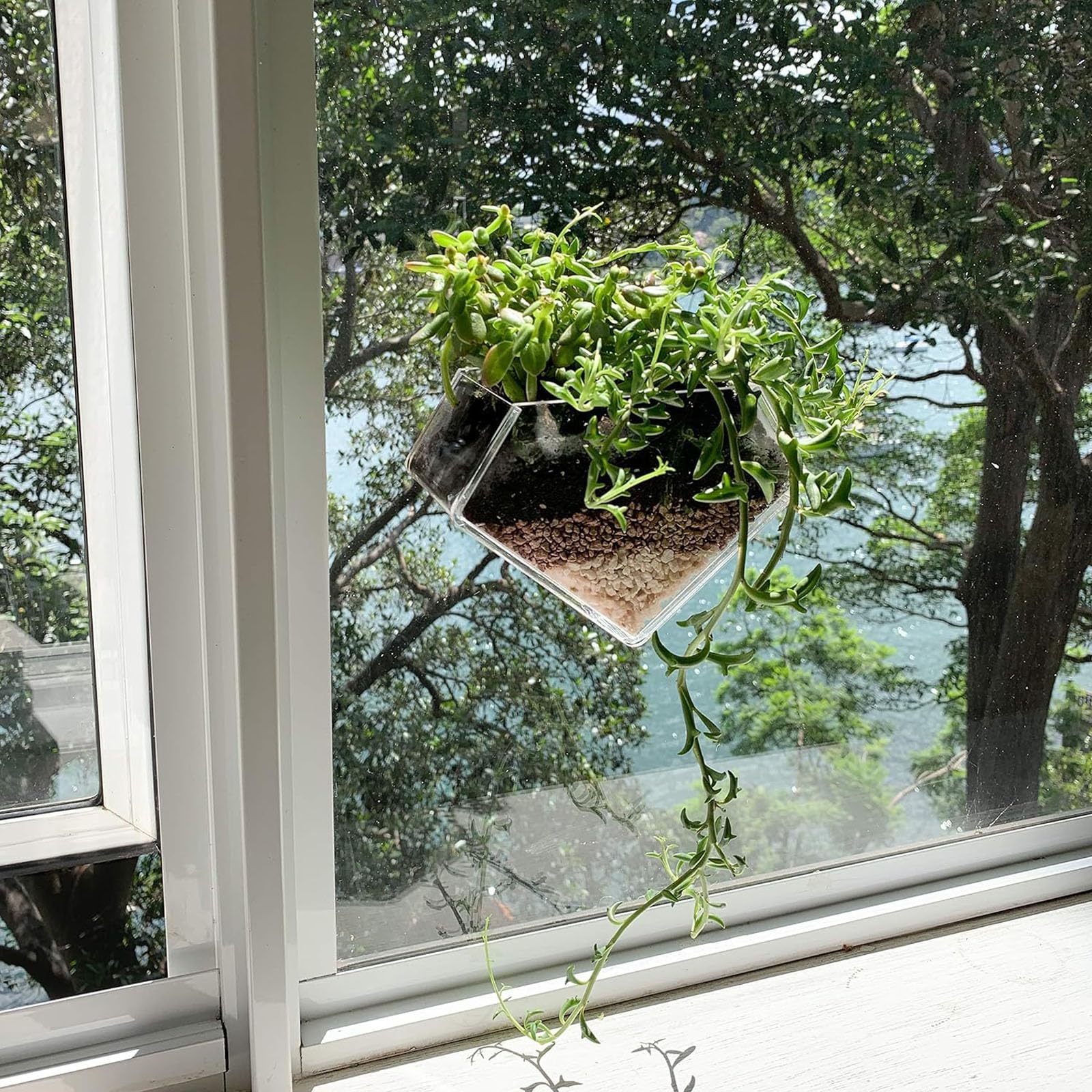 wdcfxy suction cup window planter mounts securely to glass without drilling