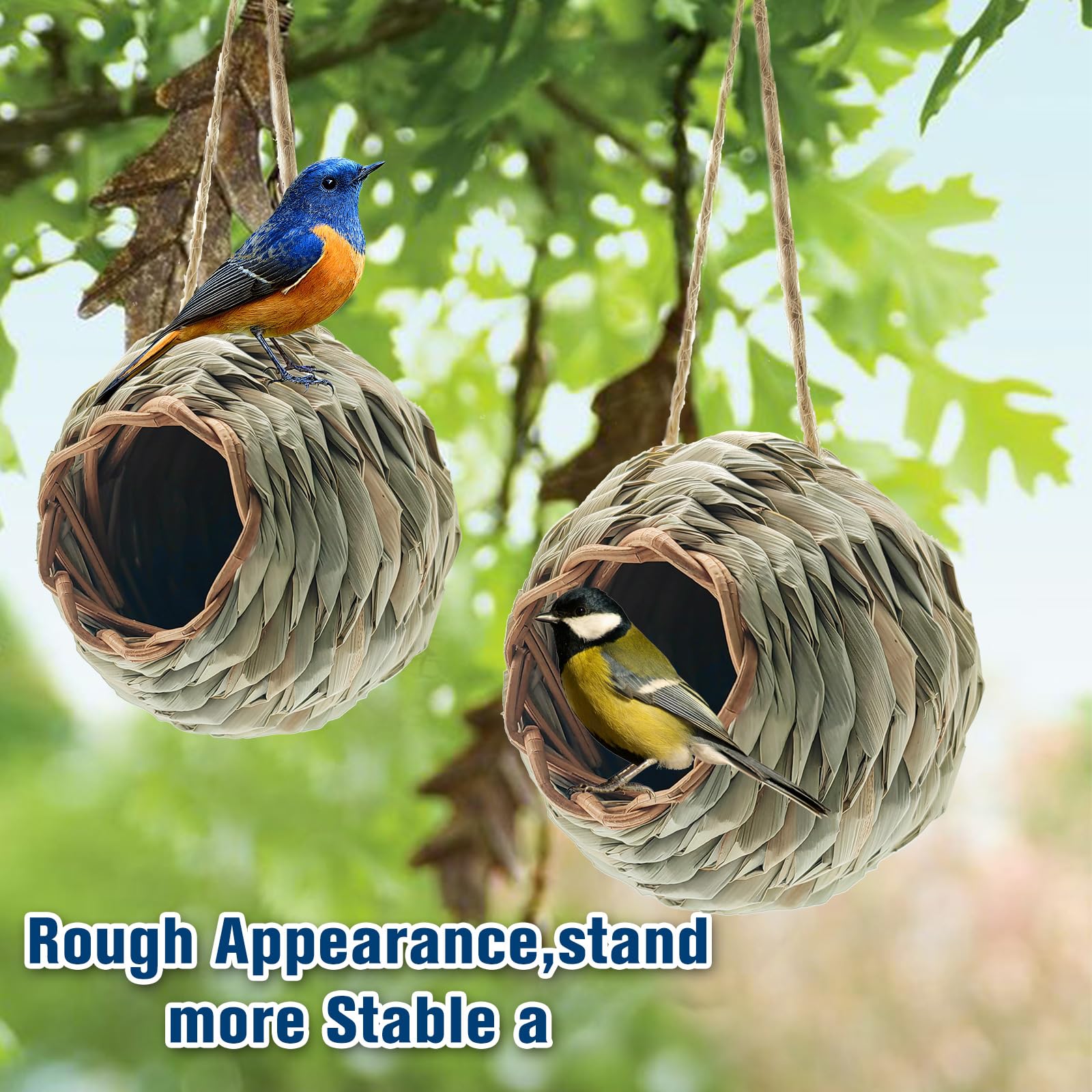 WDEFUN wren finch bird house provides safe, inviting space for small garden visitors.