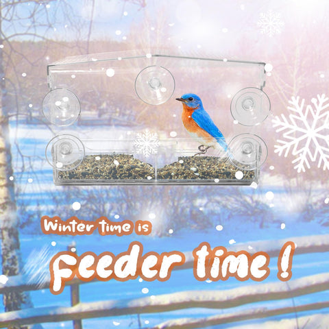 WDG five-suction cups keep the feeder stable on most windows.