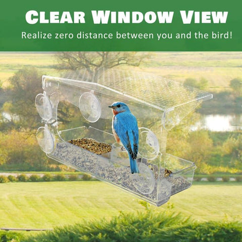 WDG gift-ready bird feeder for kids, seniors, gardeners, and nature lovers.